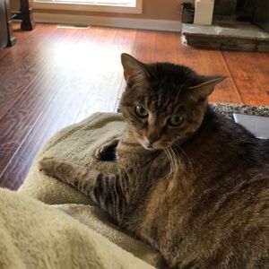 Meet your Posher, Julie